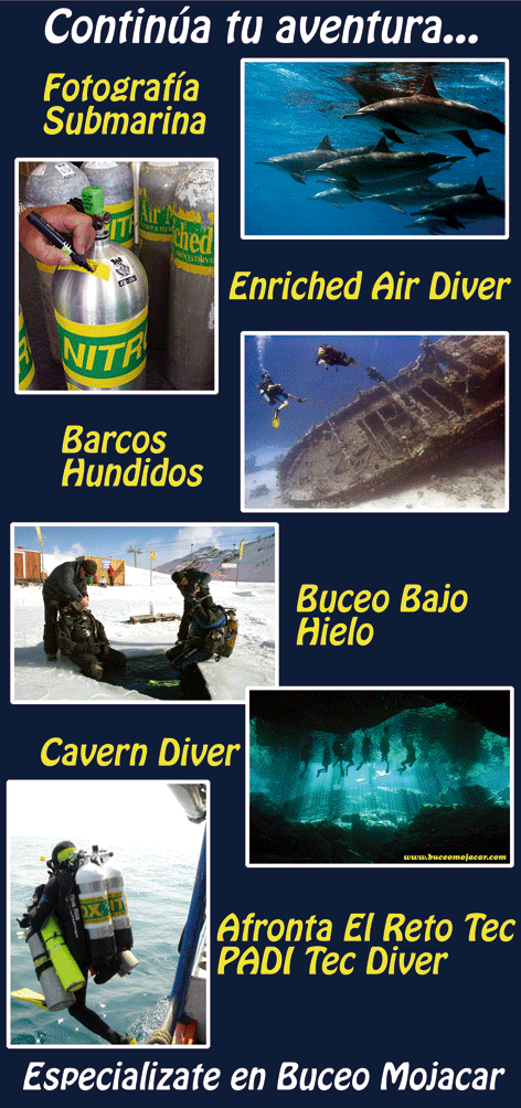 Educación continua de buceo